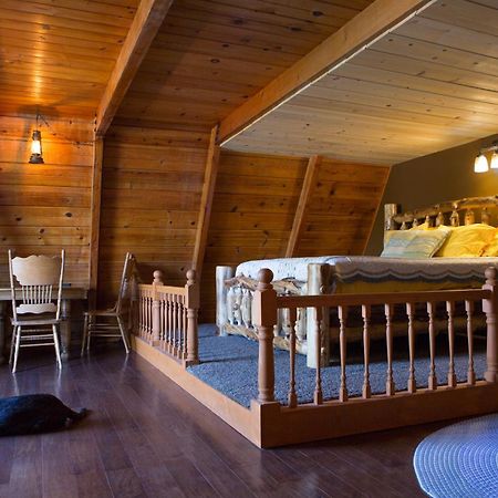 Hicksville Pines Chalets & Motel Idyllwild Eksteriør bilde