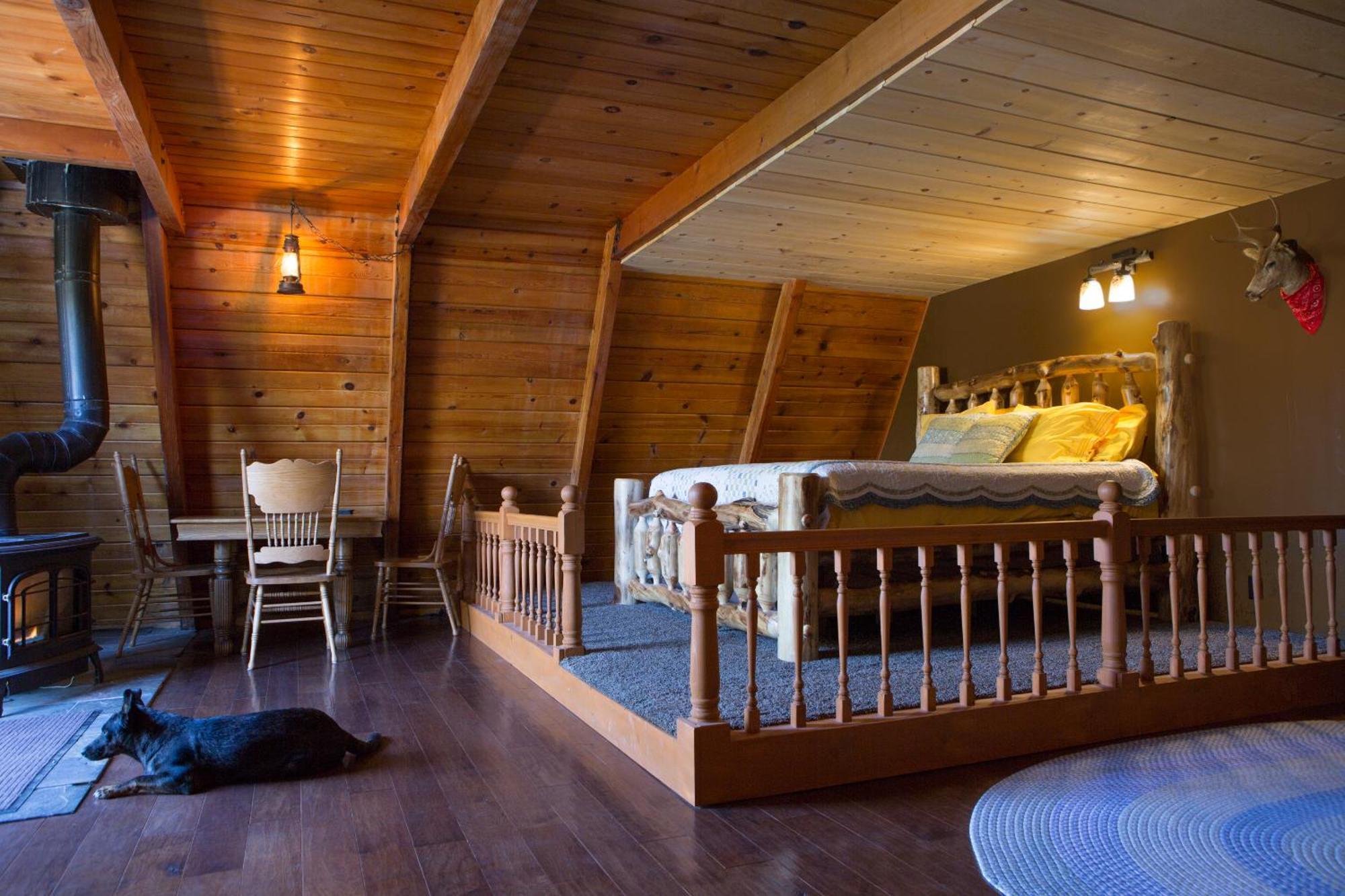 Hicksville Pines Chalets & Motel Idyllwild Eksteriør bilde